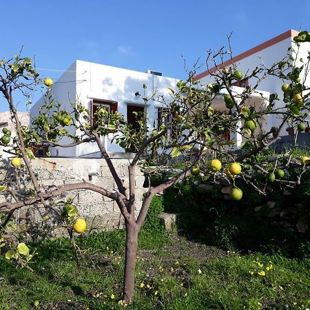 Maria Guesthouse 金尼昂 外观 照片